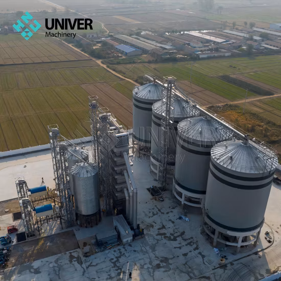 2023 Il più recente silo in acciaio con silo per cereali e mais a prezzi competitivi