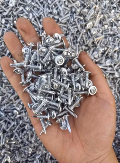 Fornitore cinese Screw Air